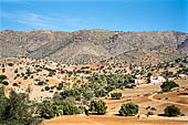 Marocco meridionale - Lungo la strada da Tiznit a Tafraoute. 